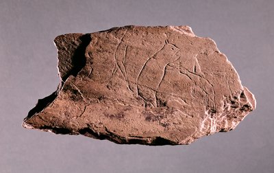 Kieselstein, der einen Mann zeigt, der von einem Bären angegriffen wird, aus Pechialet, Dordogne von Prehistoric